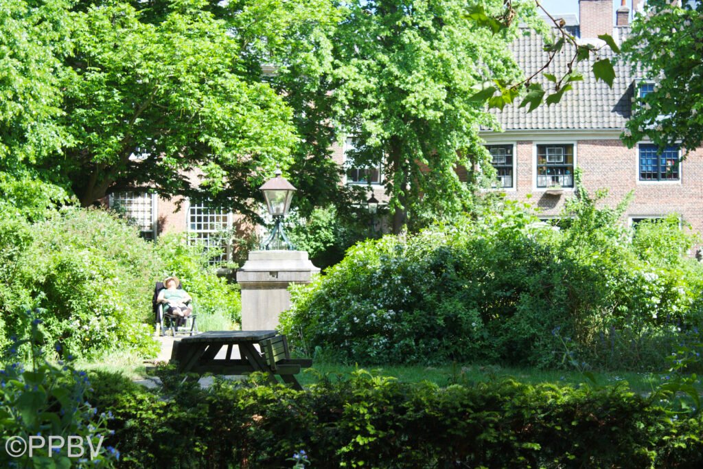 Haarlem & Luilakmarkt