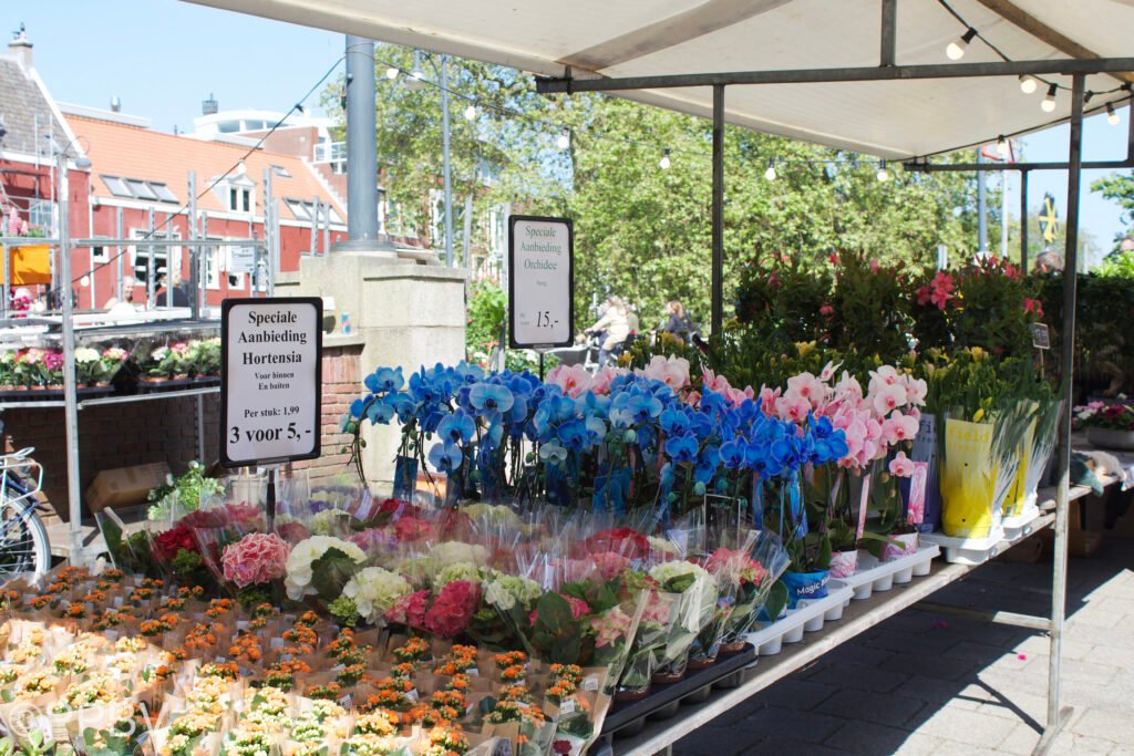 Haarlem & Luilakmarkt