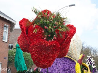 Bloemencorso 2023