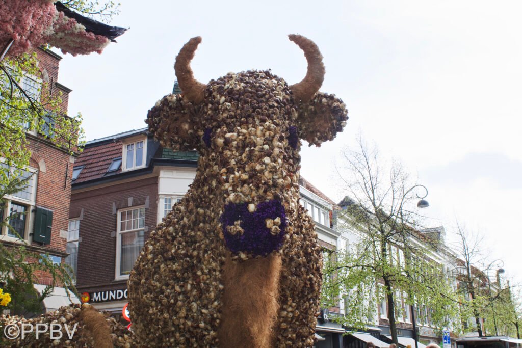 Bloemencorso 2023